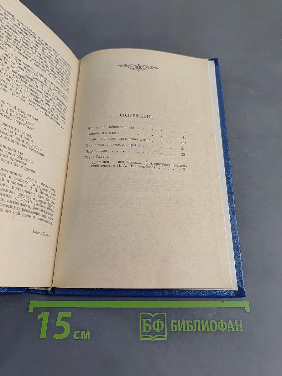 О классиках русской литературы
