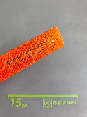 Чудесные приключения Жоаны Смельчака