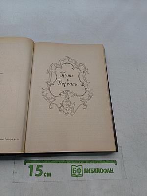 Анжелика и король. Путь в Версаль. Анжелика в Гнёве