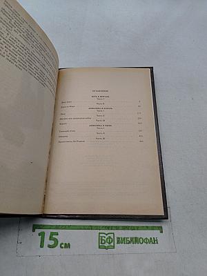 Анжелика и король. Путь в Версаль. Анжелика в Гнёве