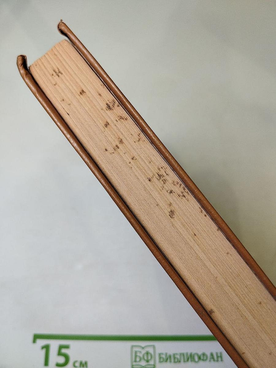 Анжелика в Новом Свете