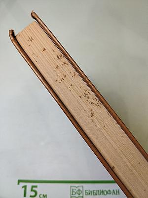 Анжелика в Новом Свете