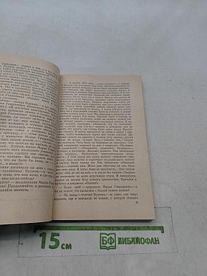 Повести покойного Ивана Петровича Белкина. Дубровский. Капитанская дочка