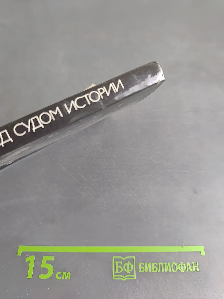 Нюрнберг: Перед судом истории