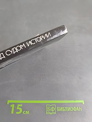 Нюрнберг: Перед судом истории