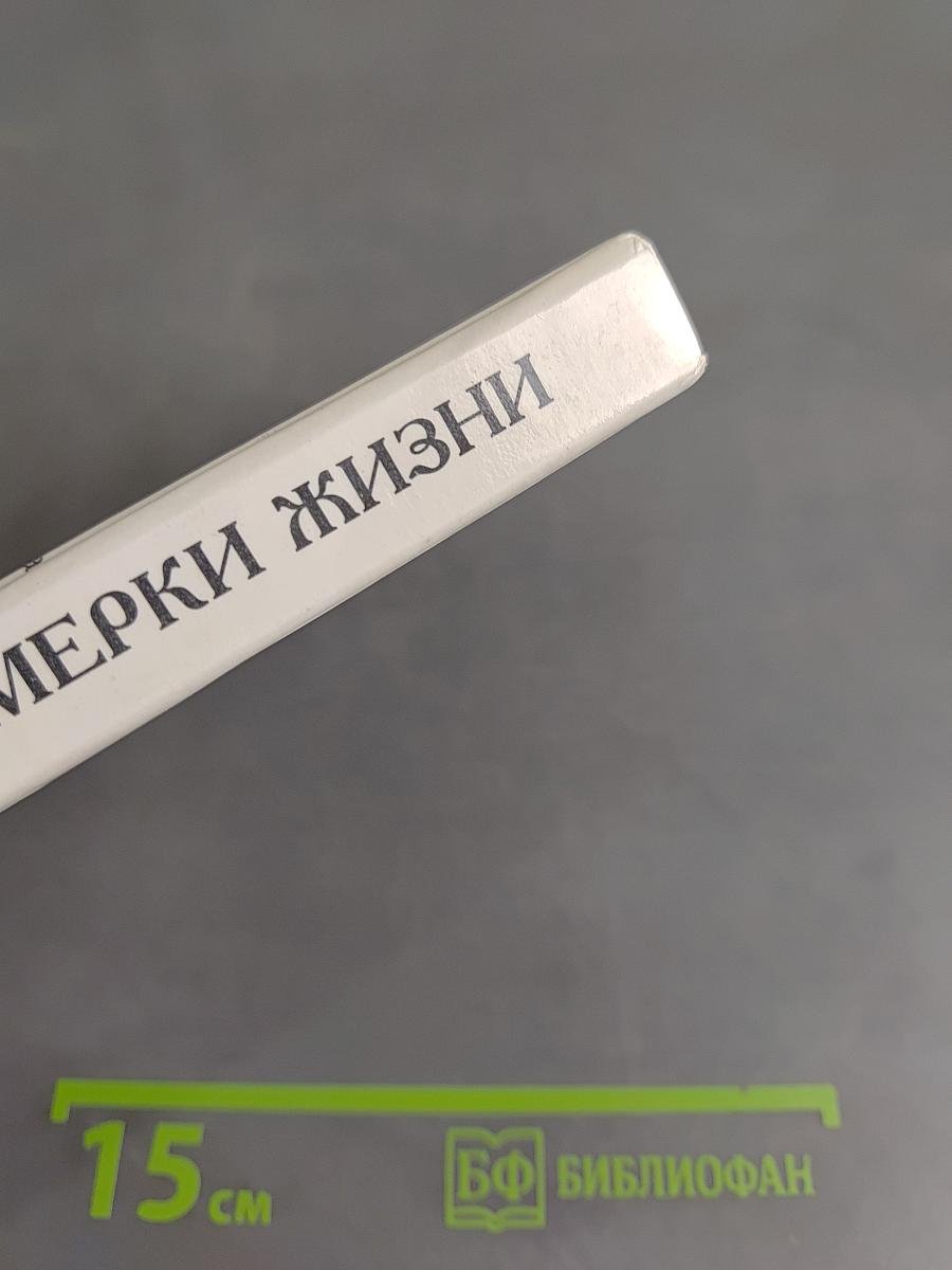Вивьетта. Сумерки жизни