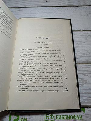 Емельян Пугачев. Книга вторая (Собрание сочинений, Том 7)