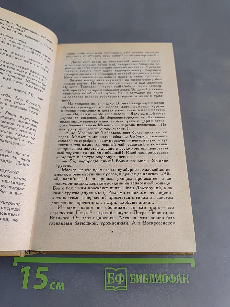 Слово и дело. Роман-хроника времен Анны Иоанновны