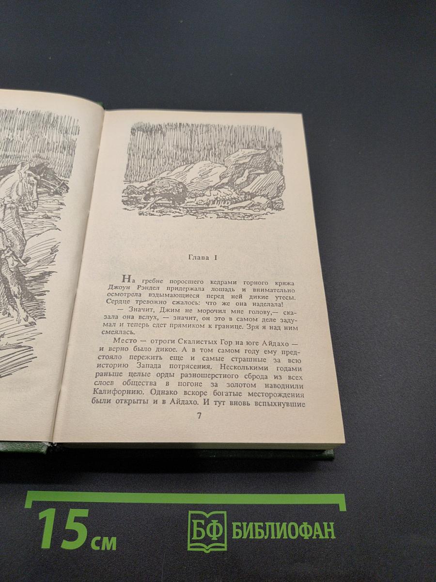 Пограничный легион. В прериях Техаса