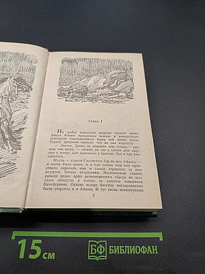 Пограничный легион. В прериях Техаса