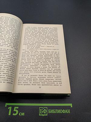 Пограничный легион. В прериях Техаса