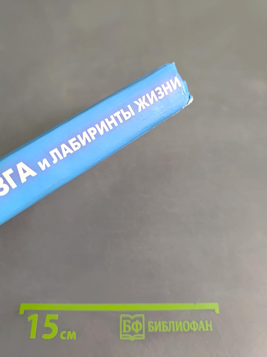 Магия мозга и лабиринты жизни