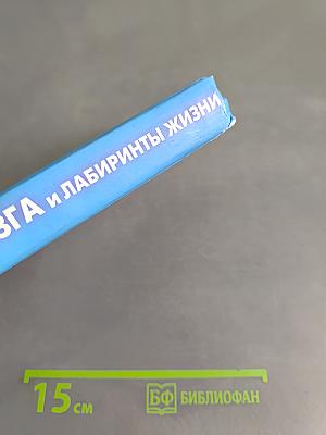 Магия мозга и лабиринты жизни