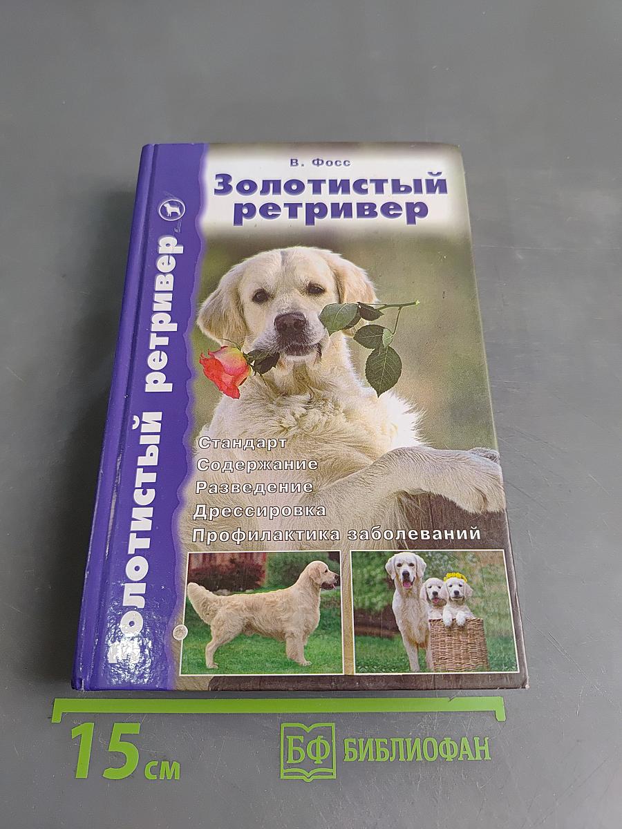 Золотистый ретривер