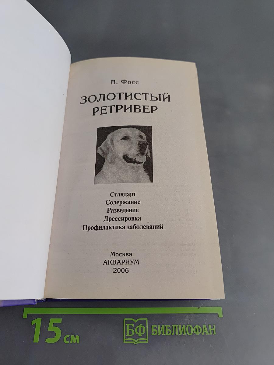 Золотистый ретривер