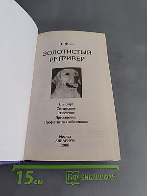 Золотистый ретривер