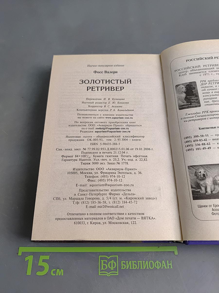 Золотистый ретривер