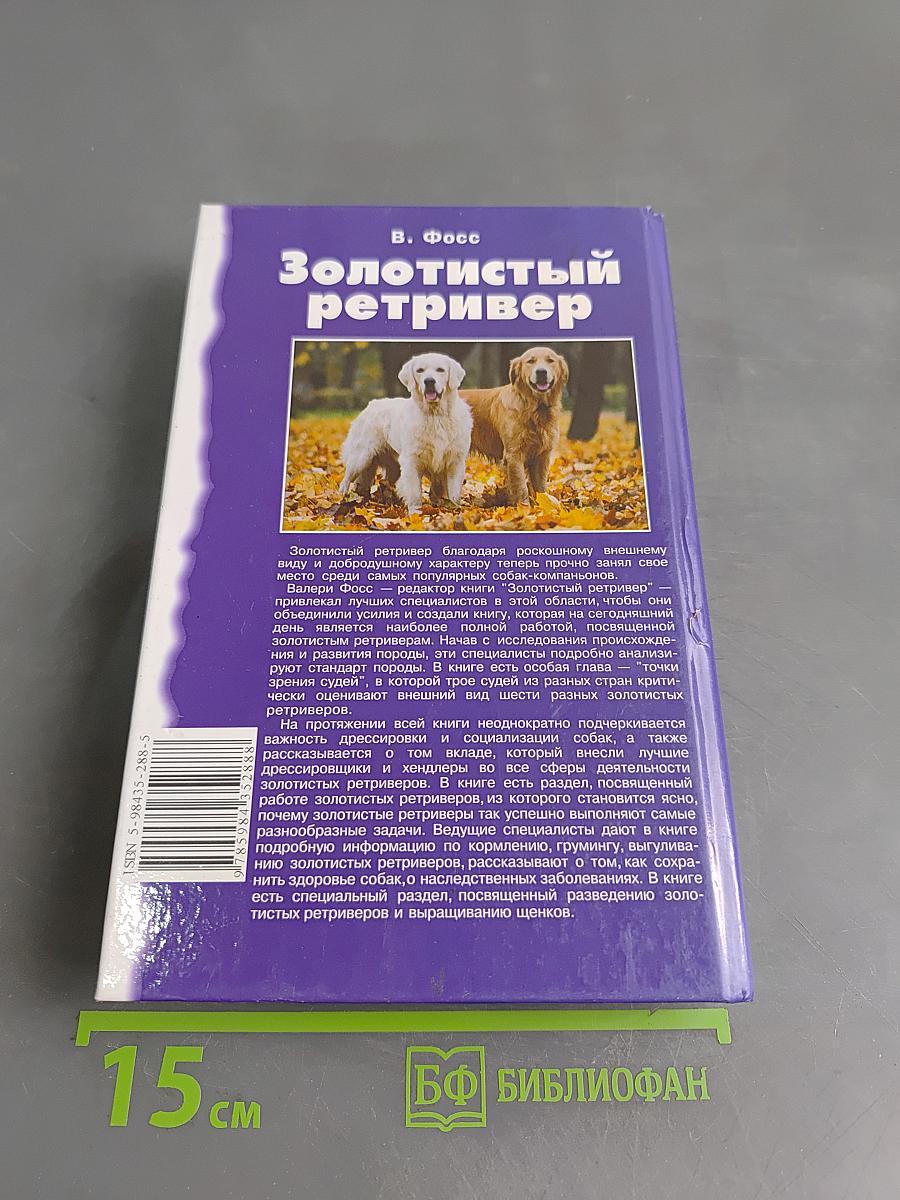 Золотистый ретривер