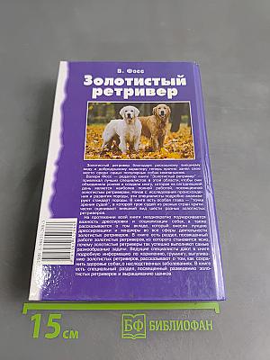 Золотистый ретривер