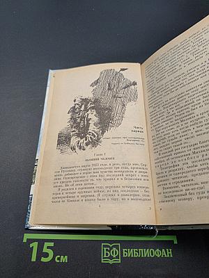 Одеты камнем. Радищев