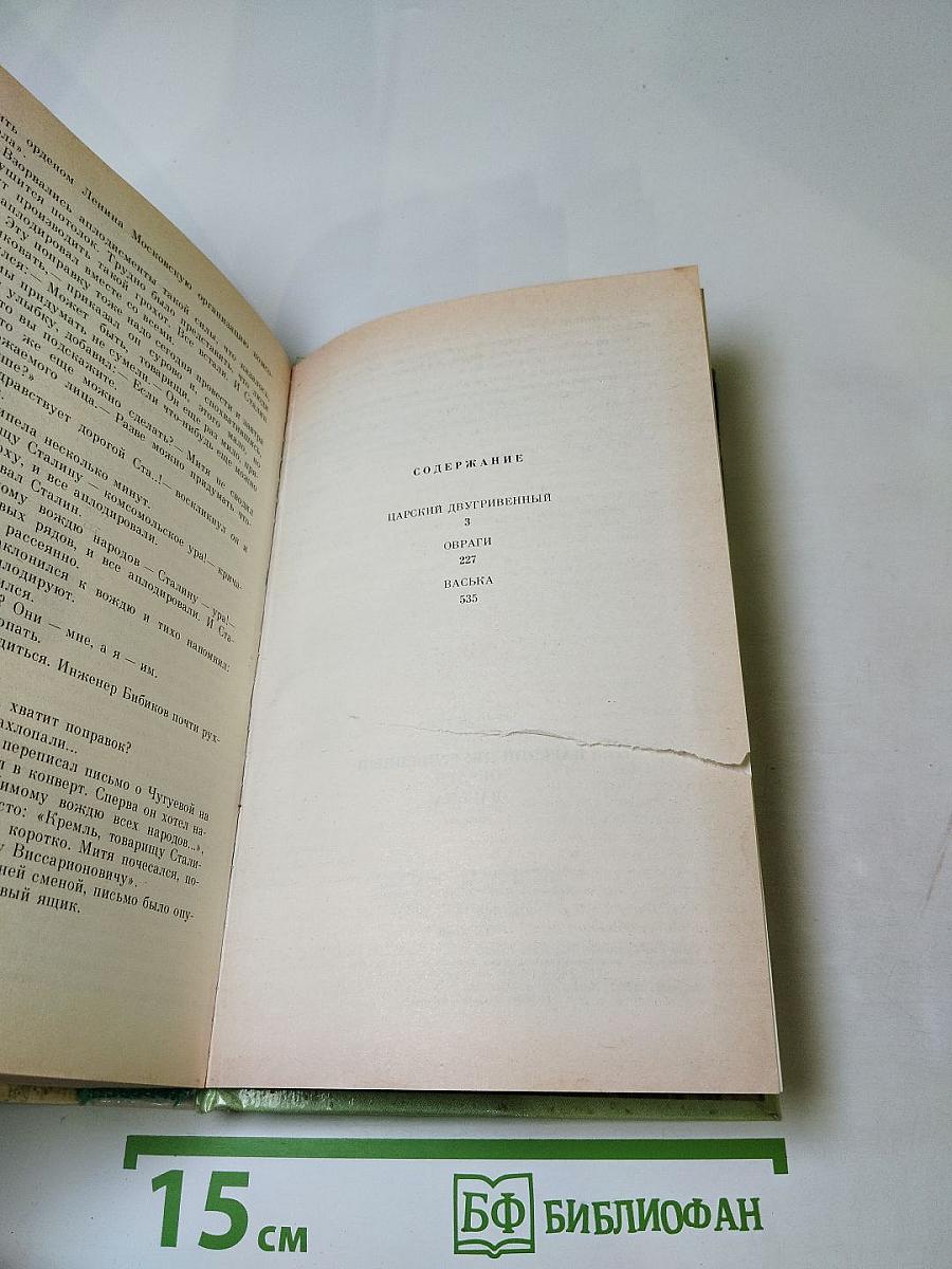 Царский двугривенный. Овраги. Васька