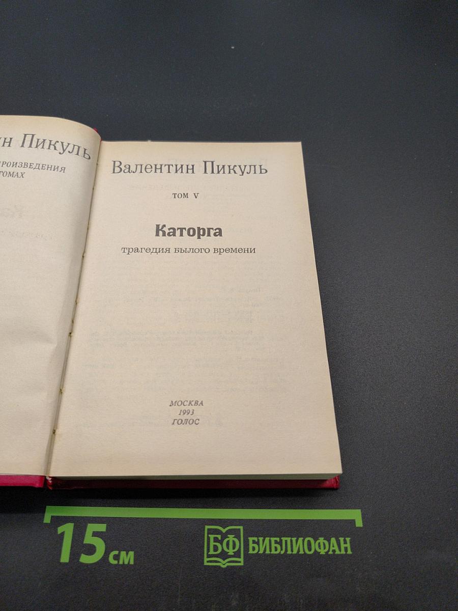 Каторга. Трагедия былого времени. Том V