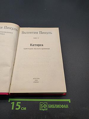 Каторга. Трагедия былого времени. Том V