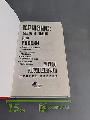 Кризис: Беда и шанс для России