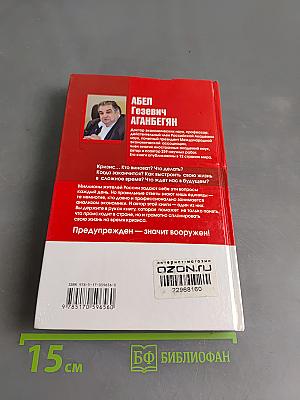 Кризис: Беда и шанс для России