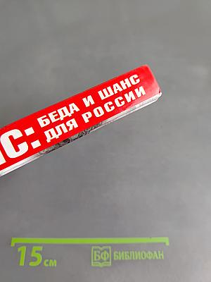 Кризис: Беда и шанс для России