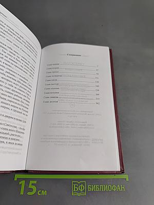 Святослав. Книга первая. Княгиня и рабыня