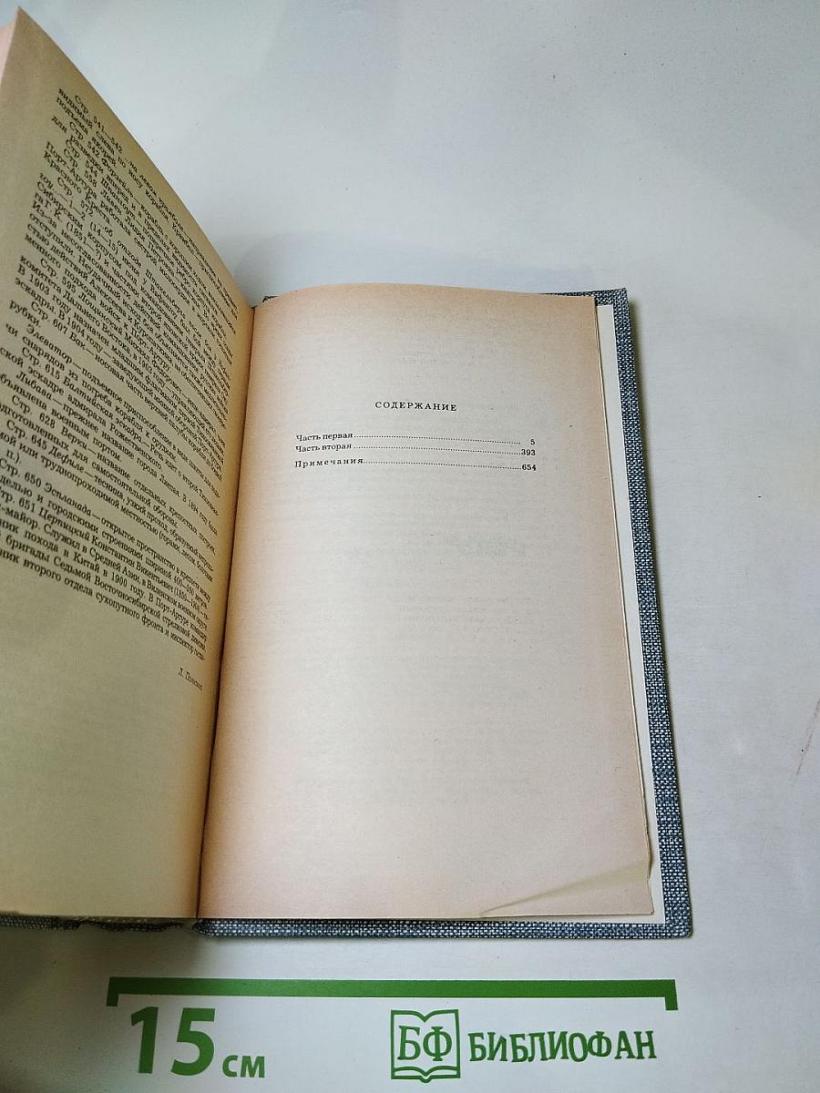 Порт-Артур. Роман в двух книгах. Книга первая