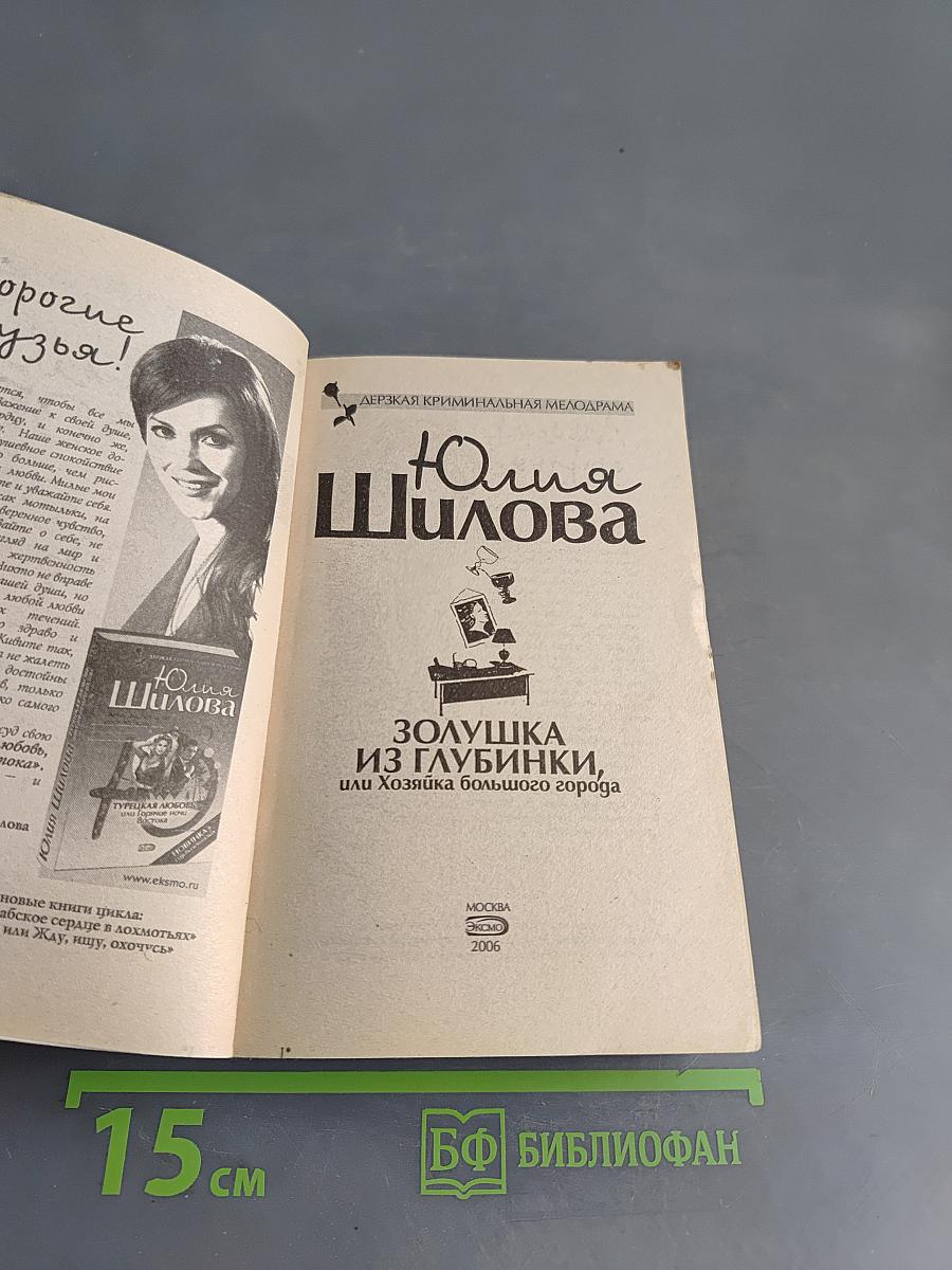 Золушка из глубинки, или Хозяйка большого города