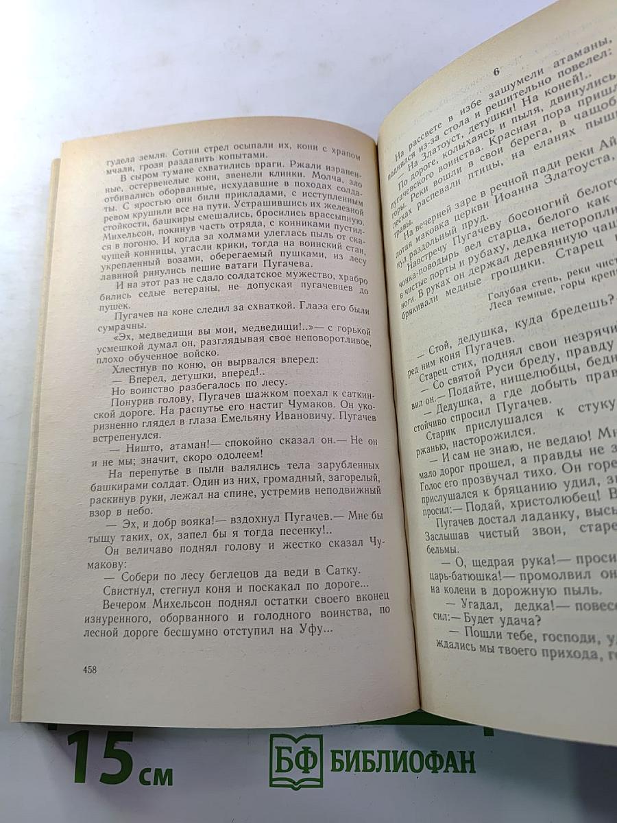 Каменный пояс. Книга вторая: Наследники