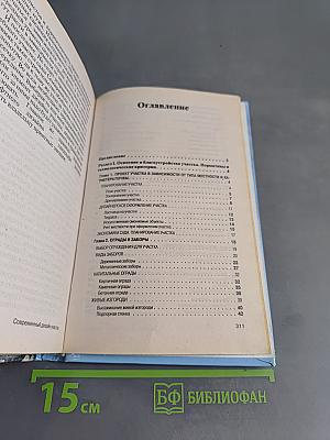 Современный дизайн участка. Шаг за шагом
