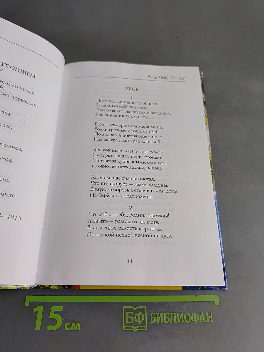 Русь моя, кто ты?