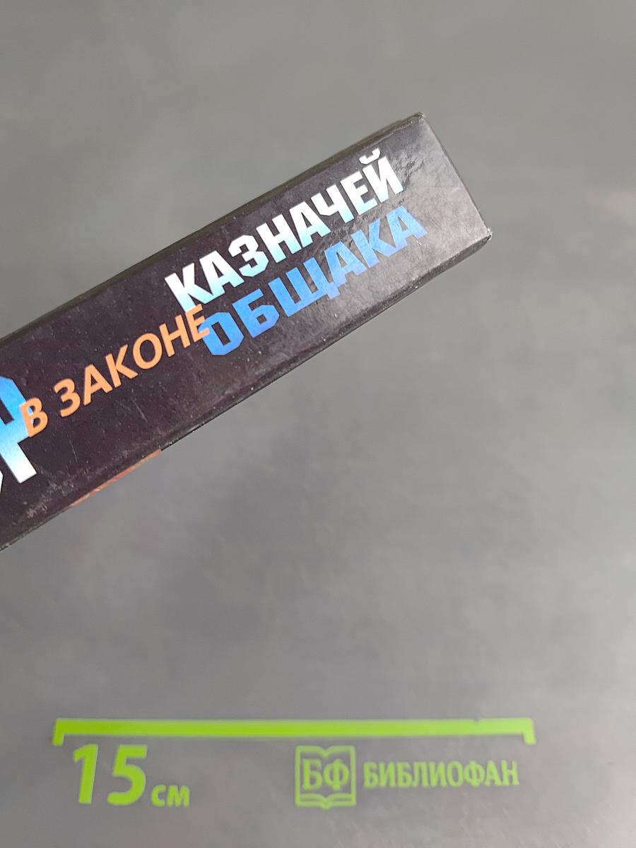 Я-вор в законе. Казначей общака