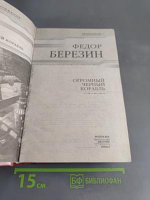 Огромный черный корабль