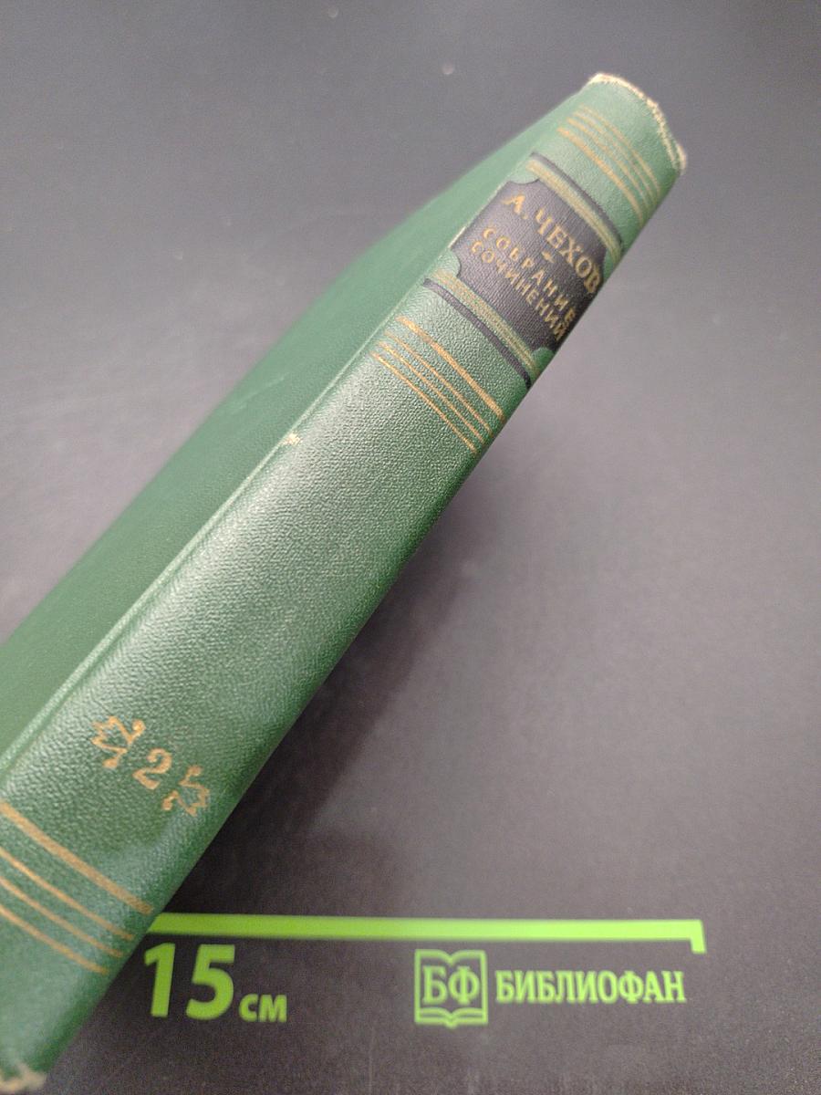 Собрание сочинений. Том второй. Рассказы 1882-1884