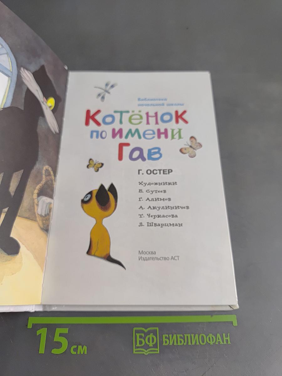 Котёнок по имени Гав