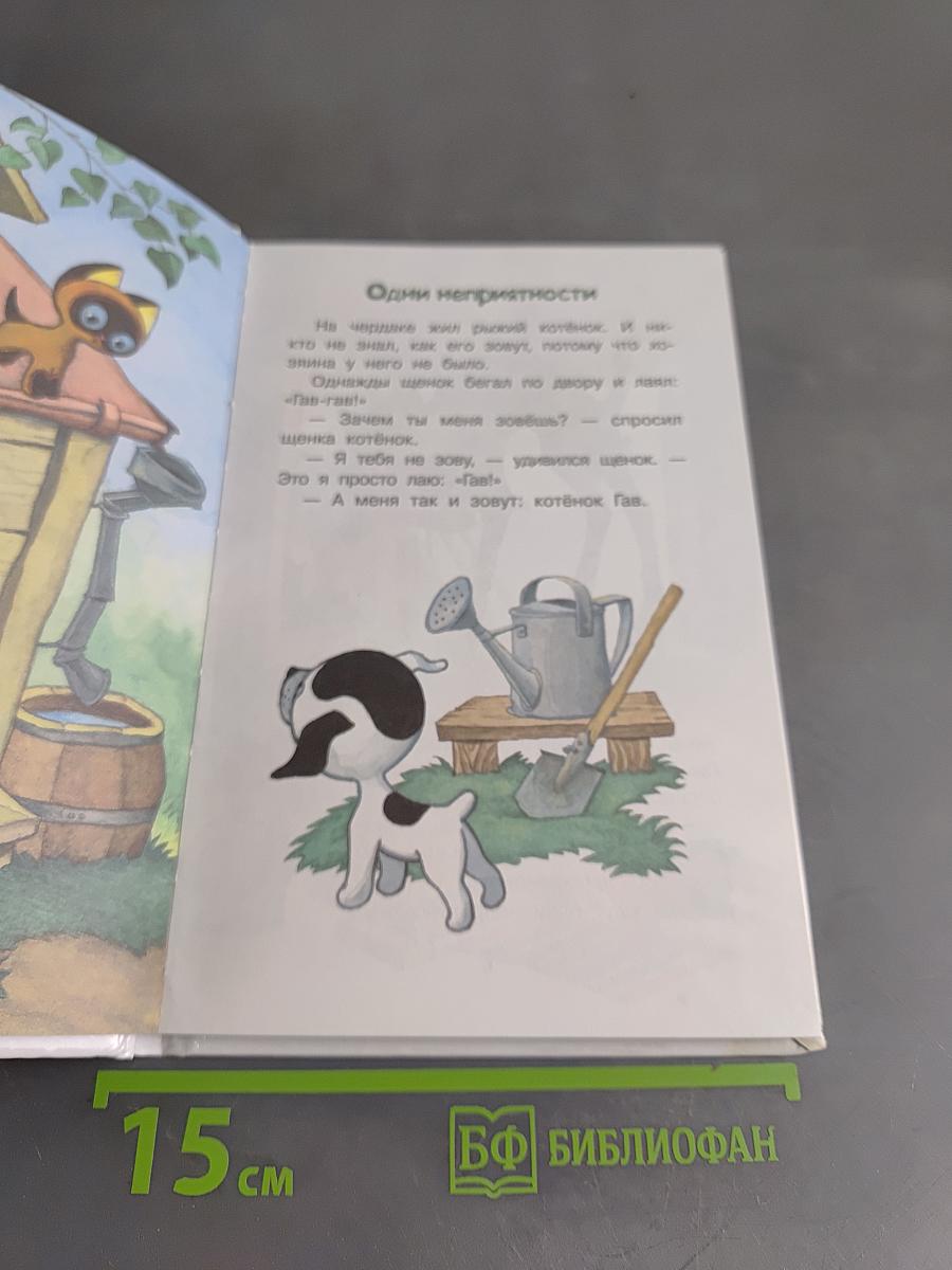 Котёнок по имени Гав