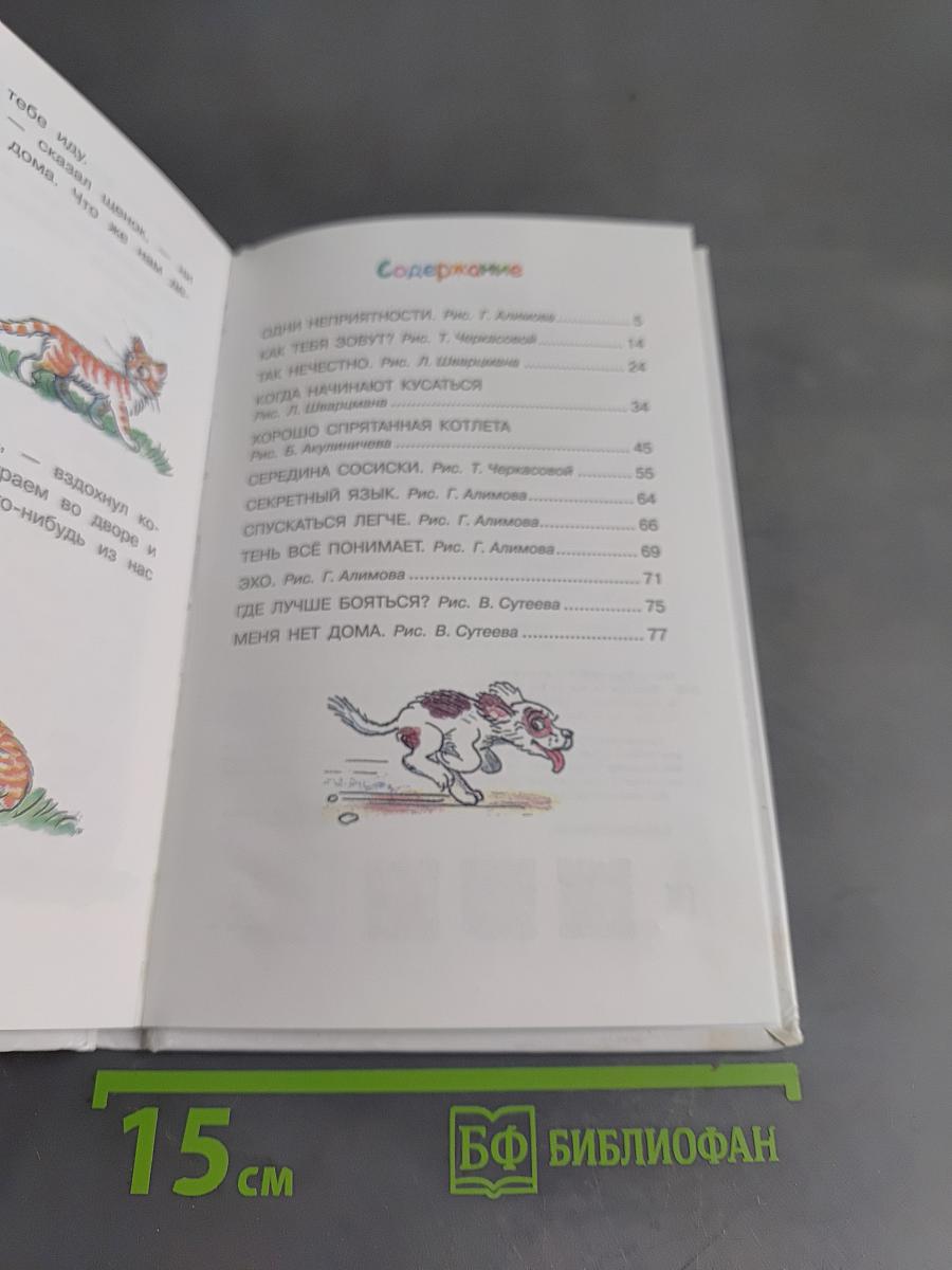Котёнок по имени Гав