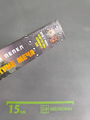 Сталь и пепел. На острие меча
