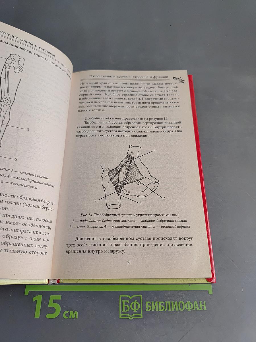 Лечение спины и суставов. Лучшие рецепты народной медицины от А до Я