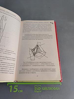 Лечение спины и суставов. Лучшие рецепты народной медицины от А до Я