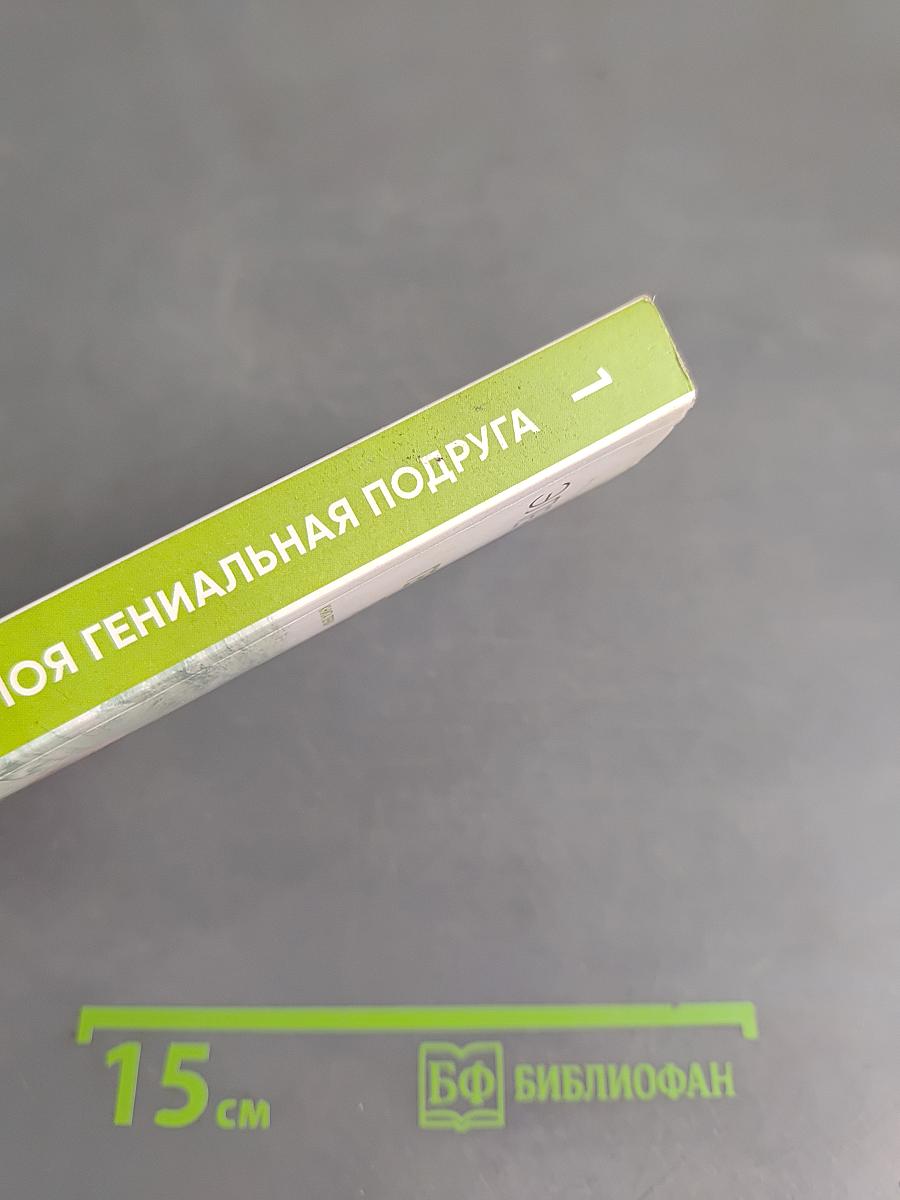 Моя гениальная подруга. Книга первая