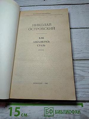Как закалялась сталь