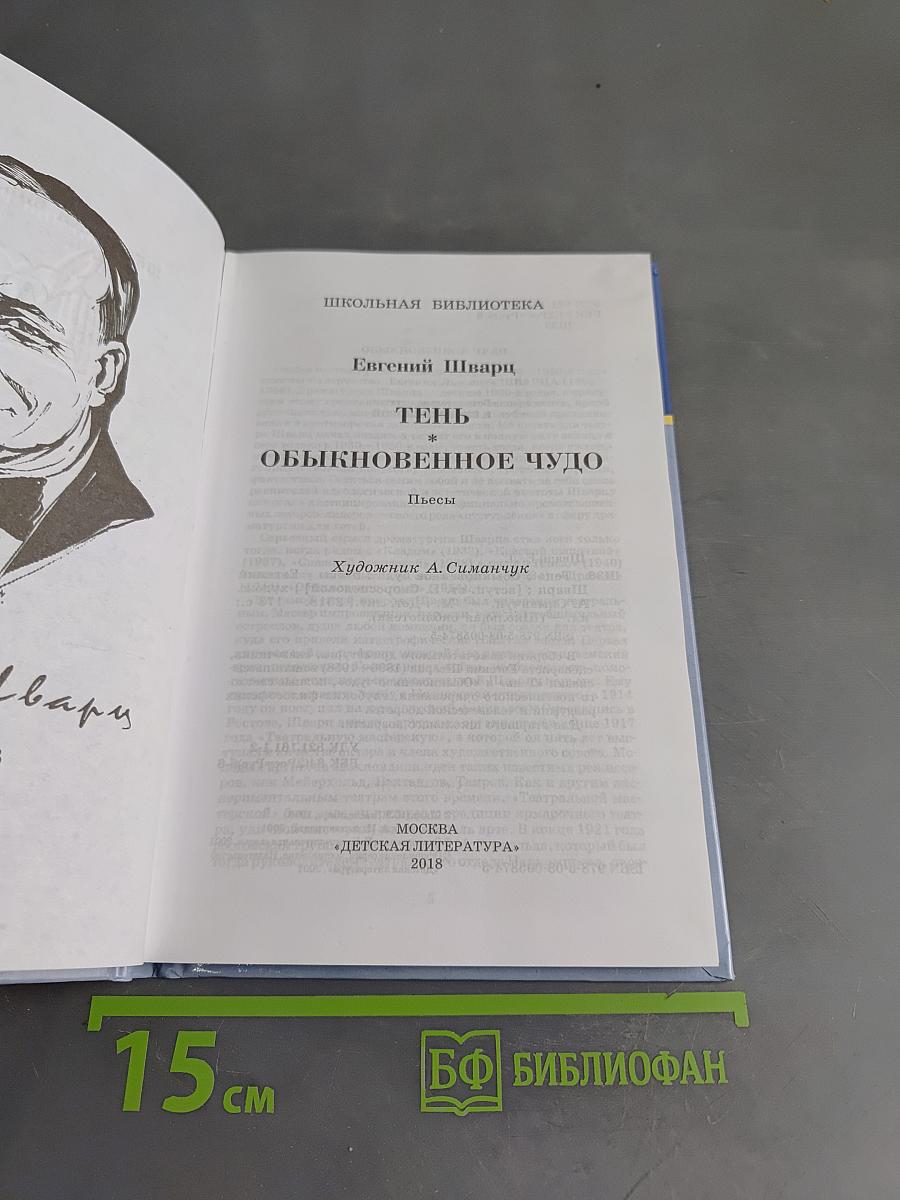 Тень. Обыкновенное чудо