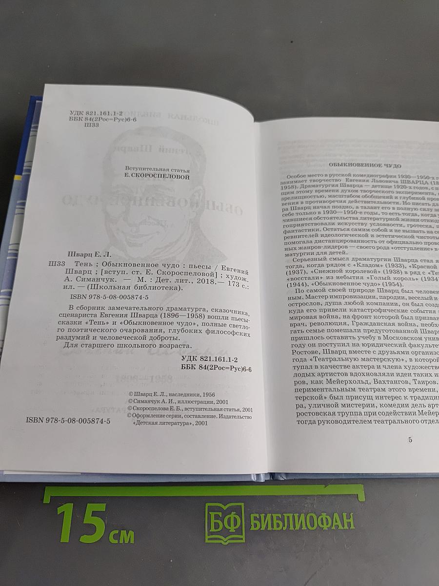 Тень. Обыкновенное чудо
