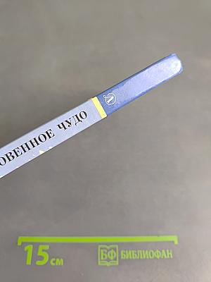 Тень. Обыкновенное чудо
